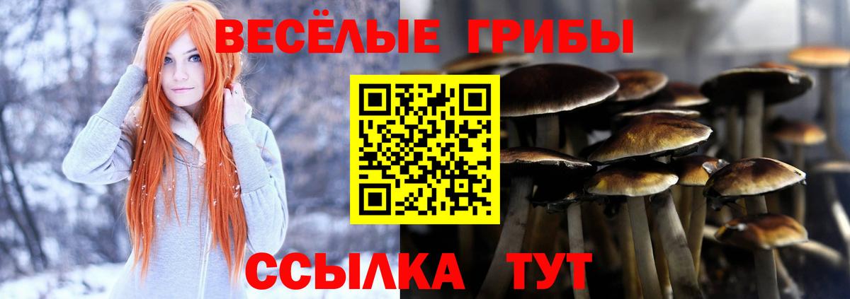 Галлюциногенные грибы Psilocybe Удомля