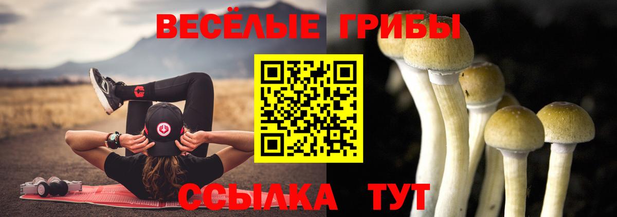 Псилоцибиновые грибы мухоморы  купить наркотики сайты  Удомля  Вход с VPN 